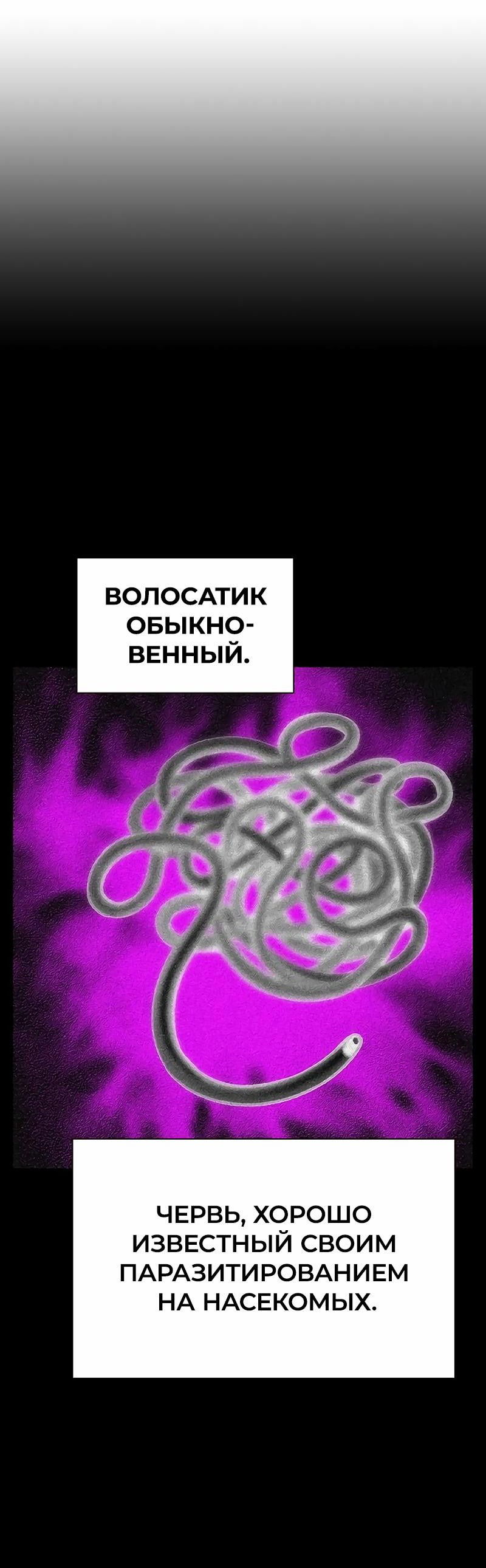 Манга Сок джунглей - Глава 151 Страница 29