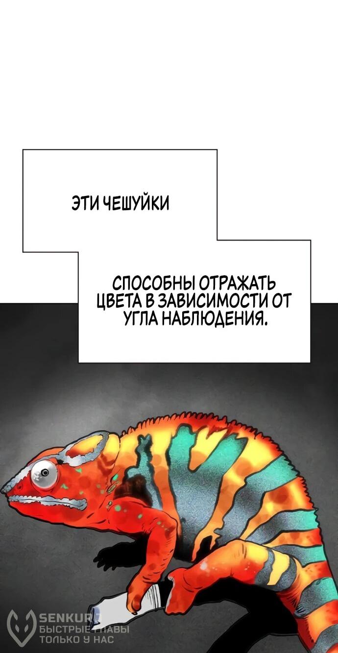 Манга Сок джунглей - Глава 166 Страница 22