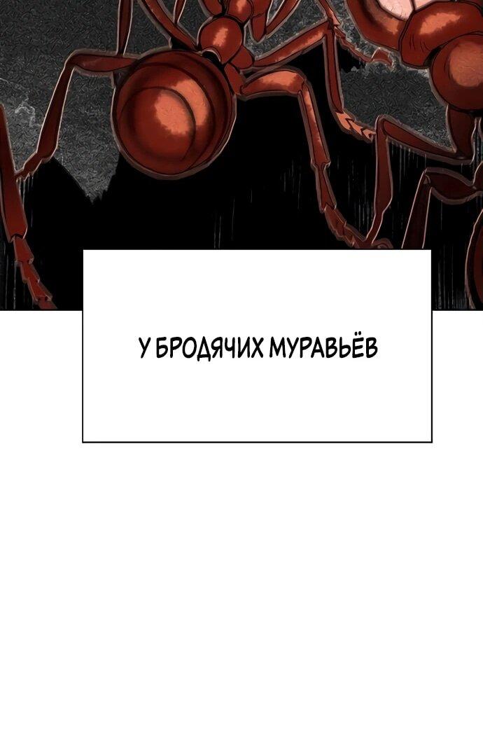 Манга Сок джунглей - Глава 165 Страница 59