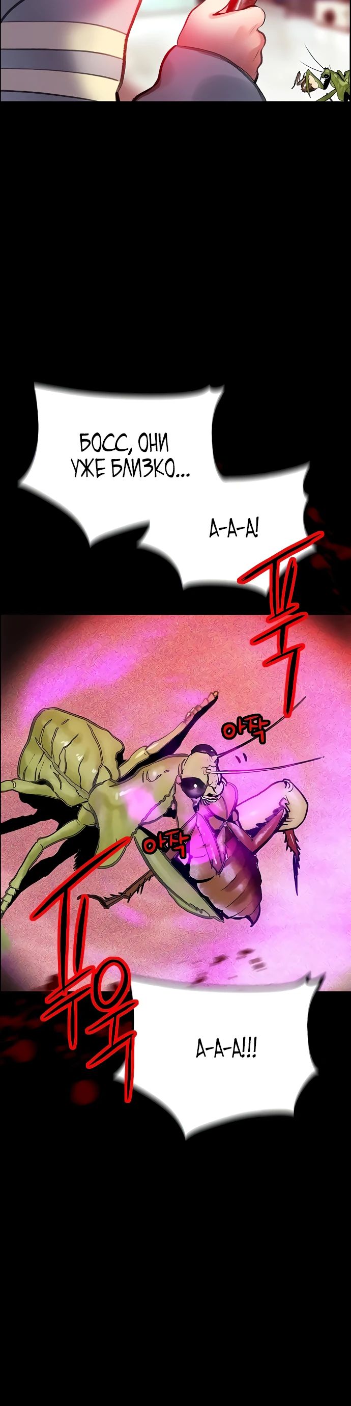Манга Сок джунглей - Глава 173 Страница 5