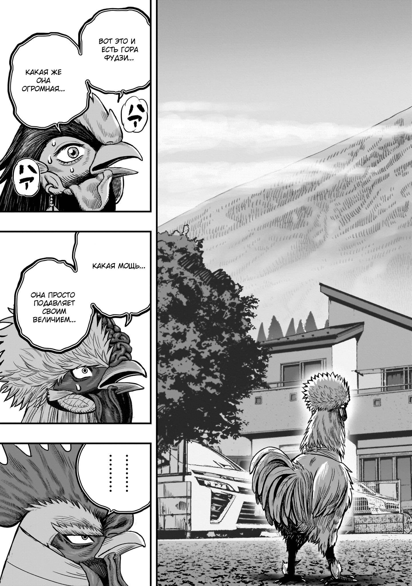 Манга Боевой петух - Глава 36 Страница 17