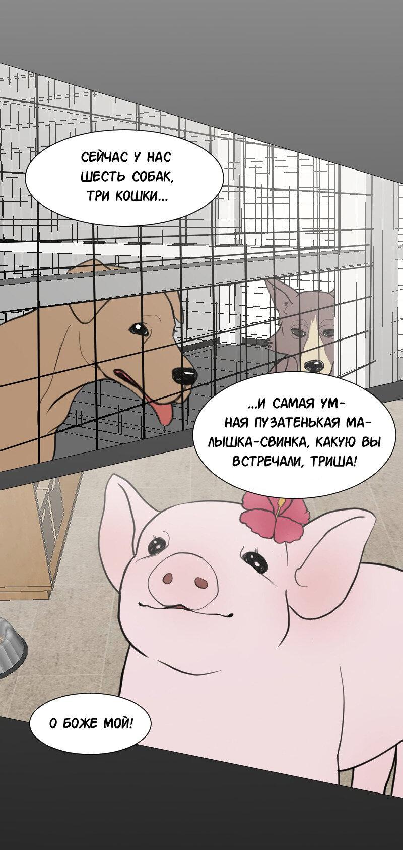 Манга Доктора нет на месте - Глава 50 Страница 33