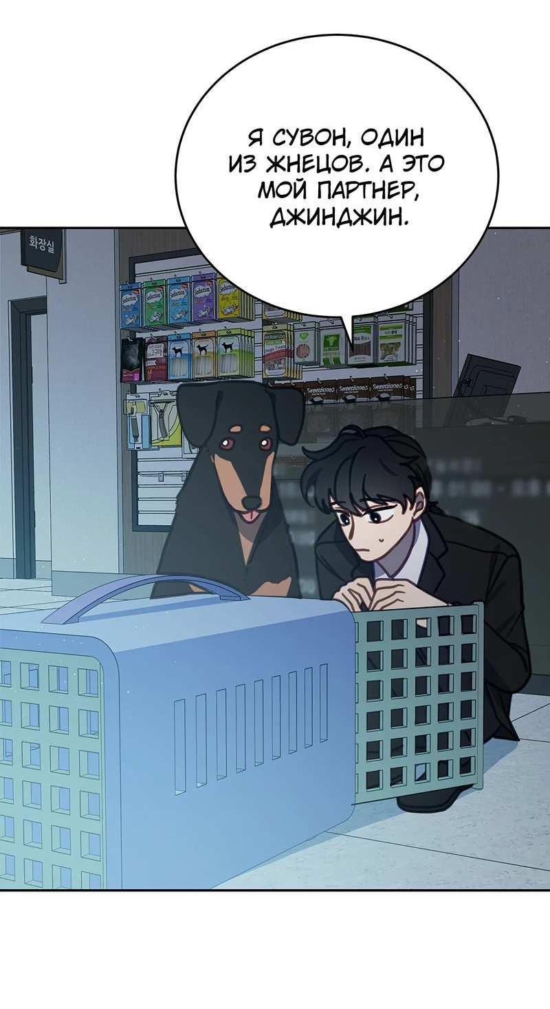 Манга Ветклиника на грани миров - Глава 105 Страница 41