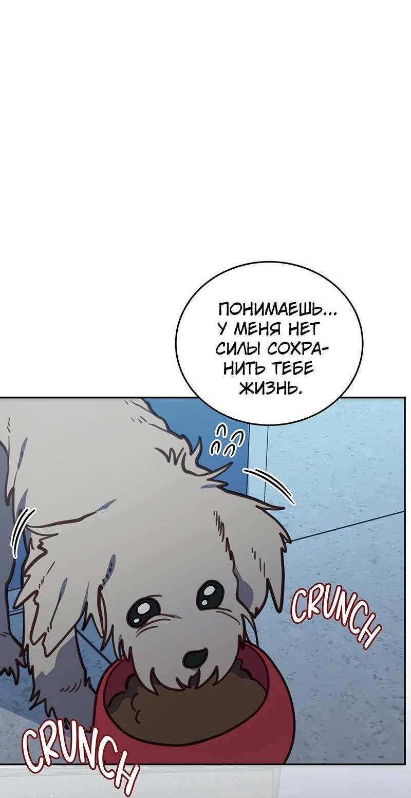 Манга Ветклиника на грани миров - Глава 105 Страница 45