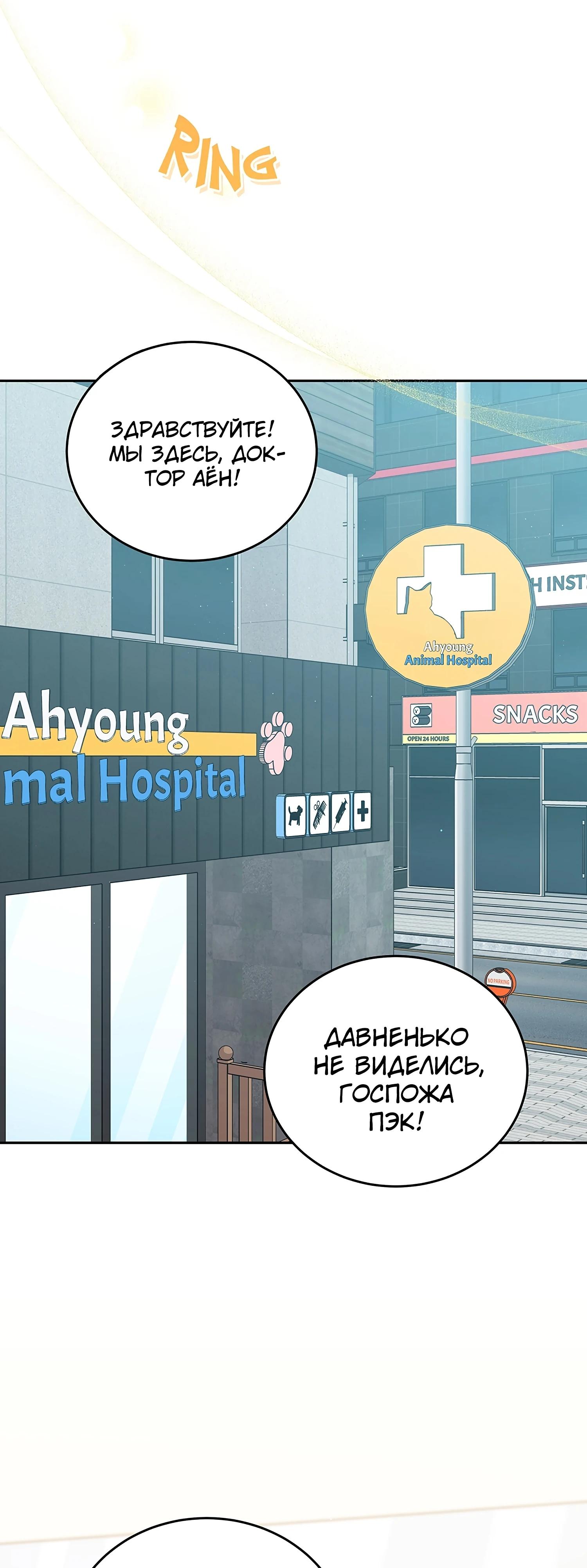 Манга Ветклиника на грани миров - Глава 106 Страница 25