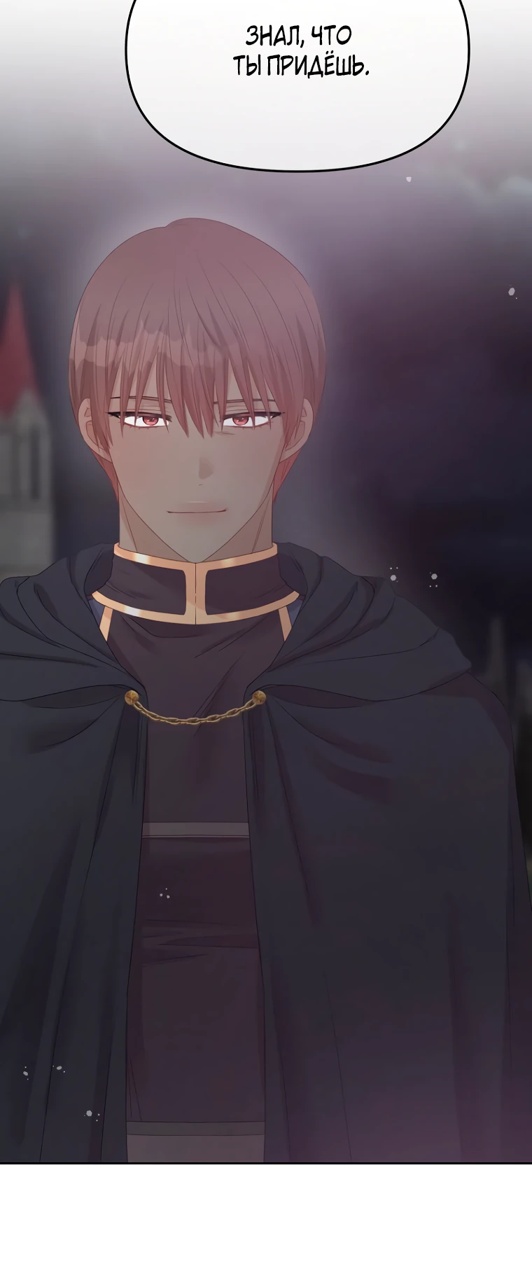 Манга Не отдавай сердце этой книге - Глава 98 Страница 8