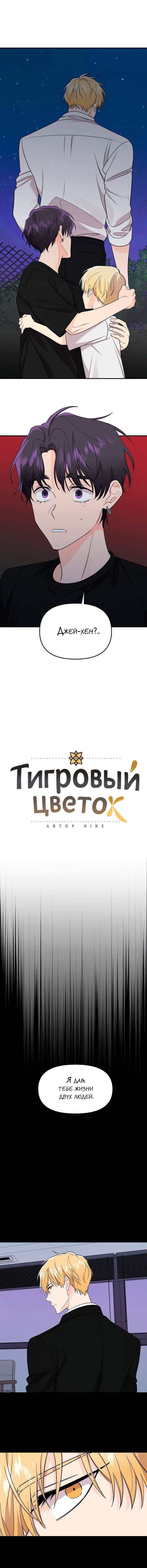 Манга Тигриный цветок - Глава 47 Страница 6