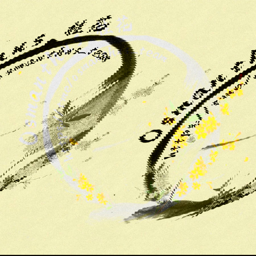 Манга Случайное спасение врага Цзянху - Глава 48 Страница 3