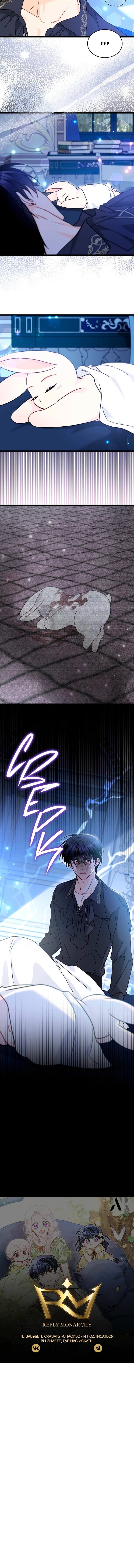 Манга Симбиоз между кроликом и чёрной пантерой - Глава 199 Страница 54