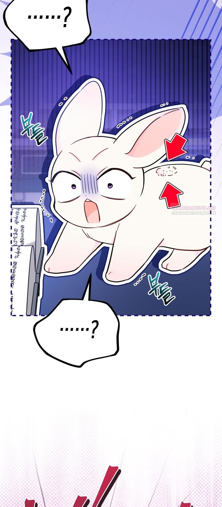 Манга Симбиоз между кроликом и чёрной пантерой - Глава 190 Страница 30