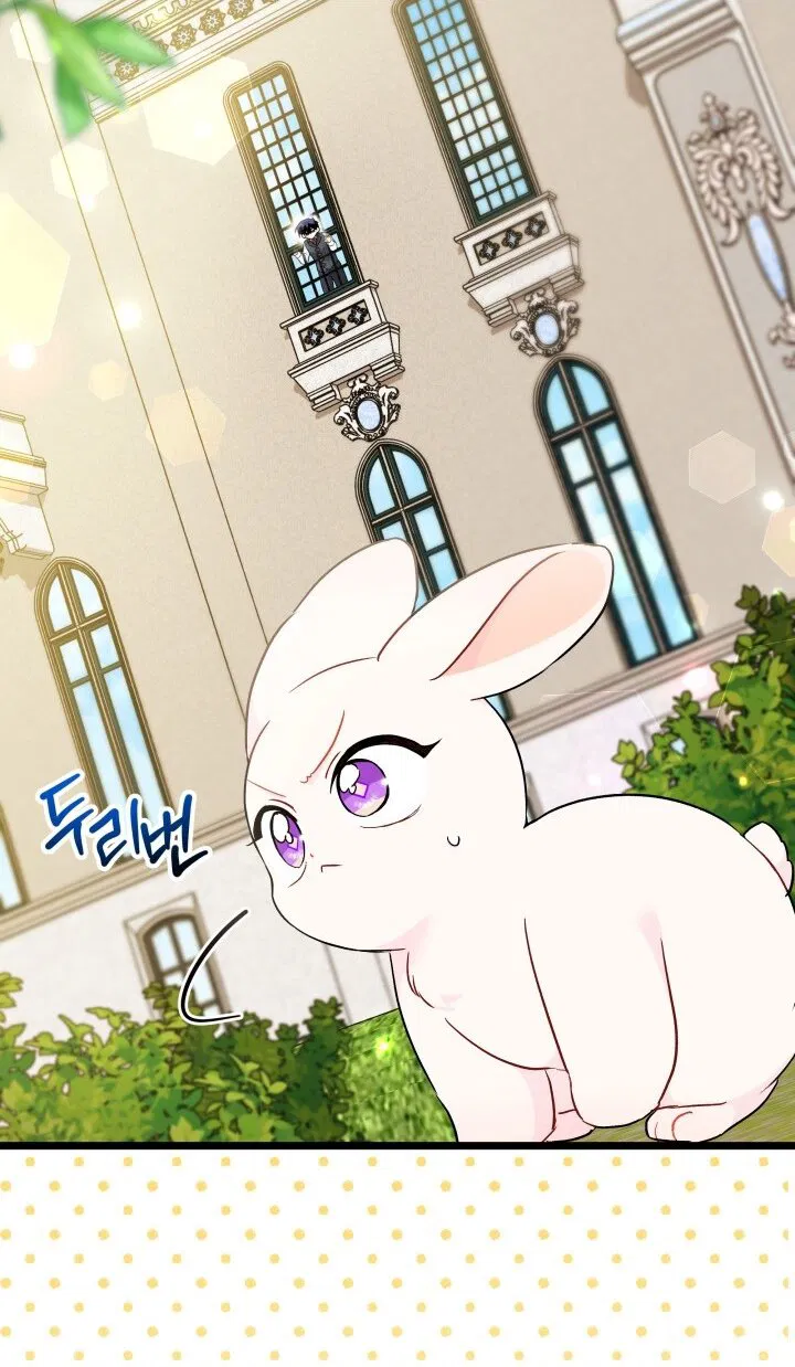 Манга Симбиоз между кроликом и чёрной пантерой - Глава 189 Страница 64