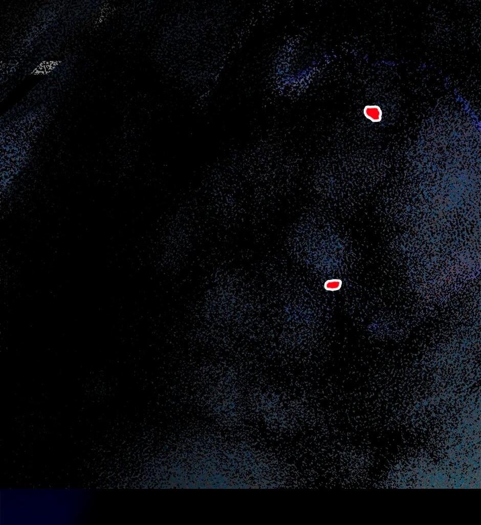 Манга Принцесса прикидывается сумасшедшей - Глава 110 Страница 48