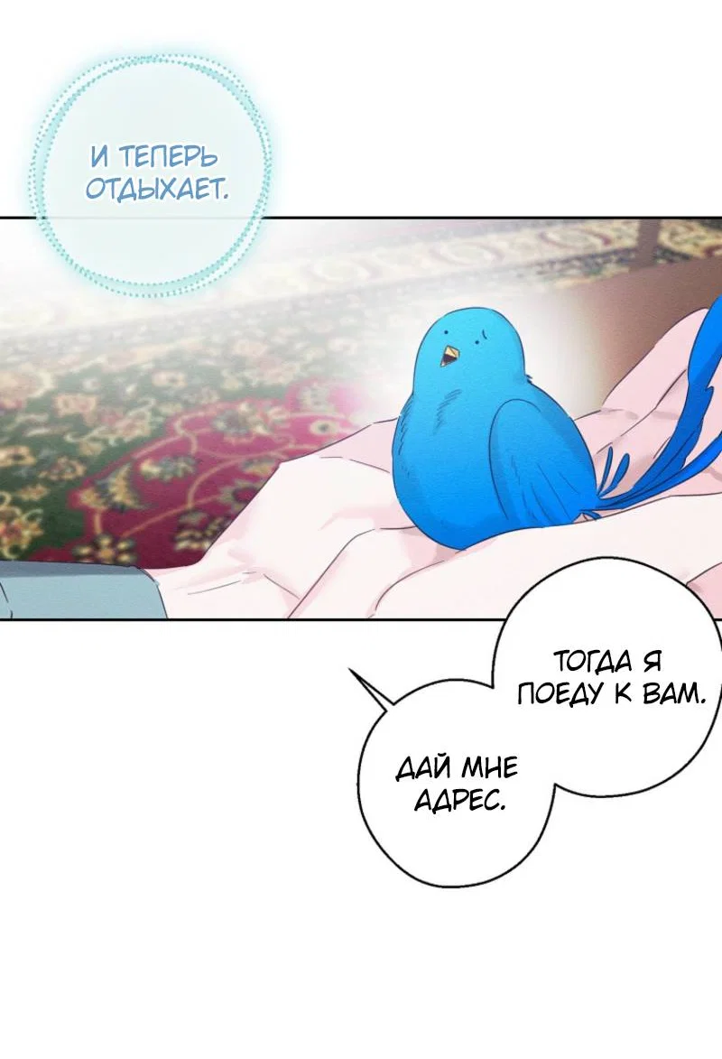 Манга Первым делом спрячем моего младшего брата - Глава 97 Страница 47