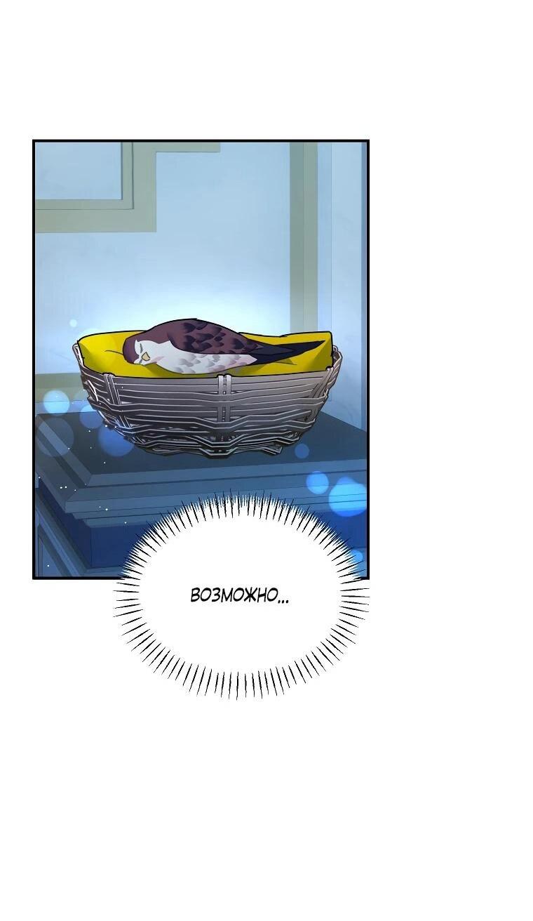 Манга Принцесса-сокол - Глава 142 Страница 36