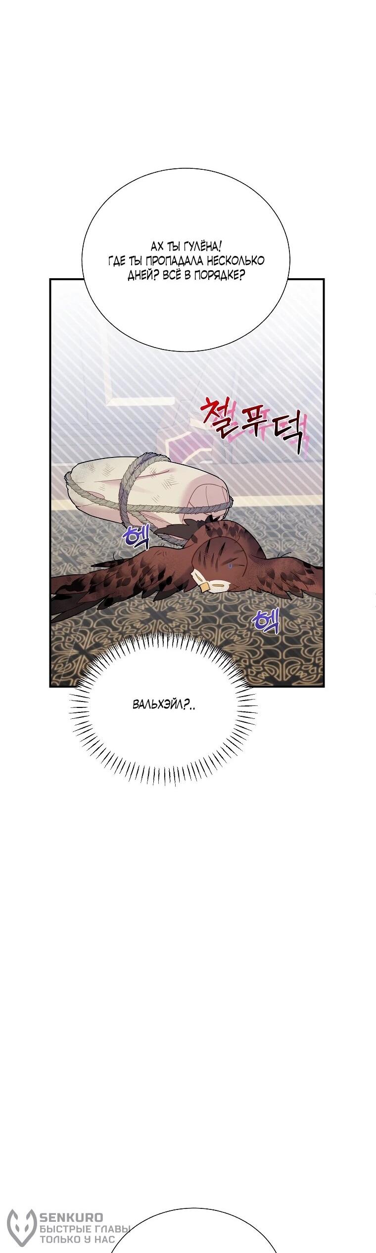 Манга Принцесса-сокол - Глава 148 Страница 20
