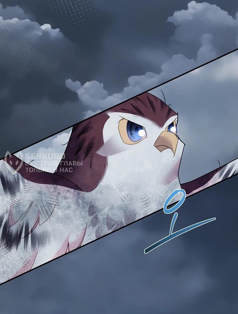 Манга Принцесса-сокол - Глава 148 Страница 17