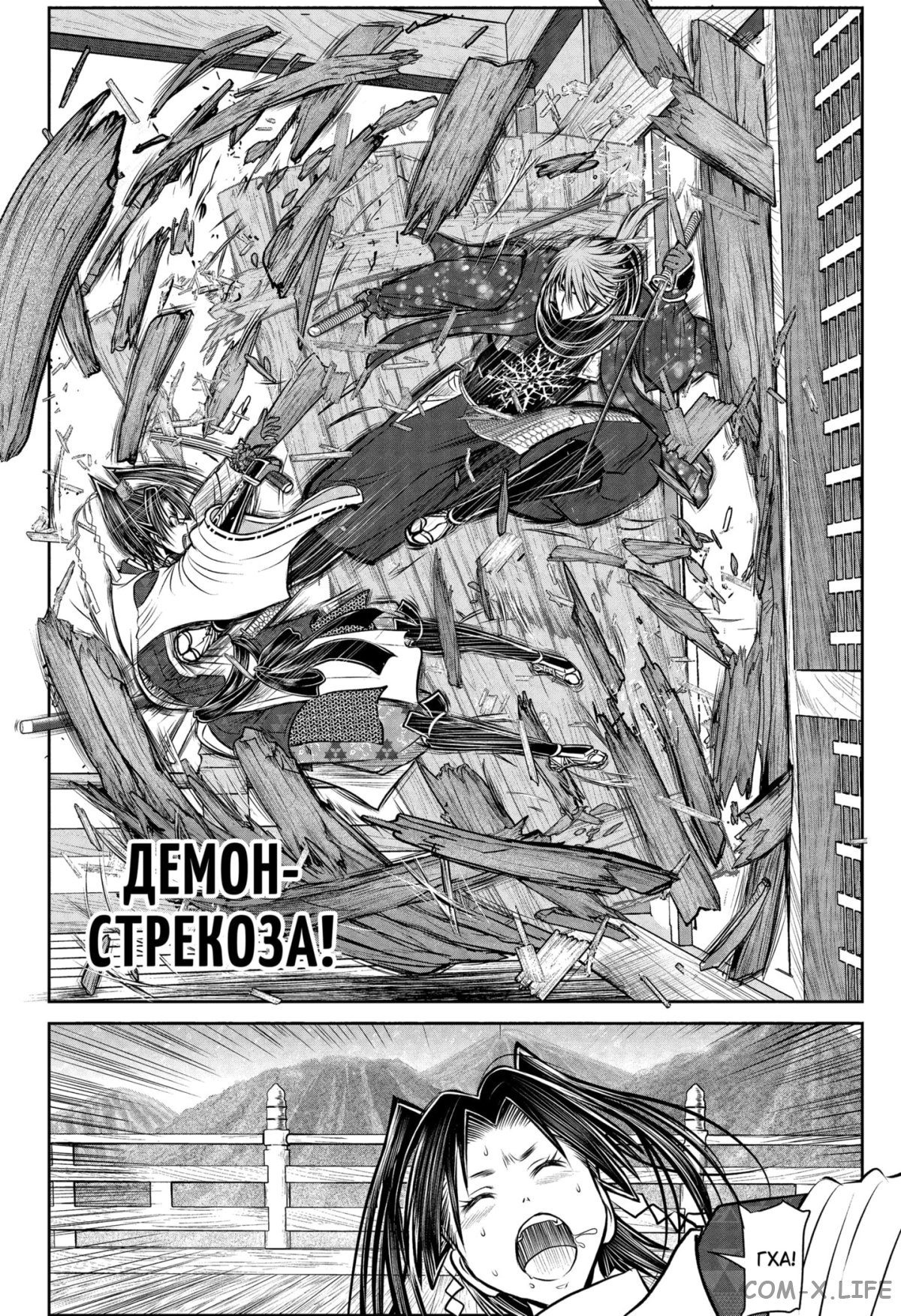 Манга Неуловимый самурай - Глава 194 Страница 15
