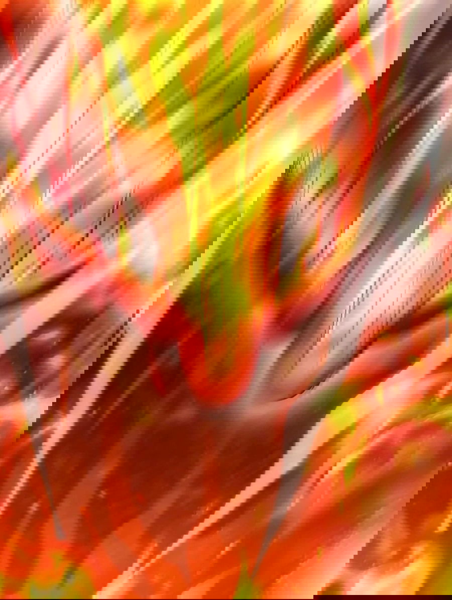 Манга Я правда не слуга злого бога - Глава 154 Страница 54