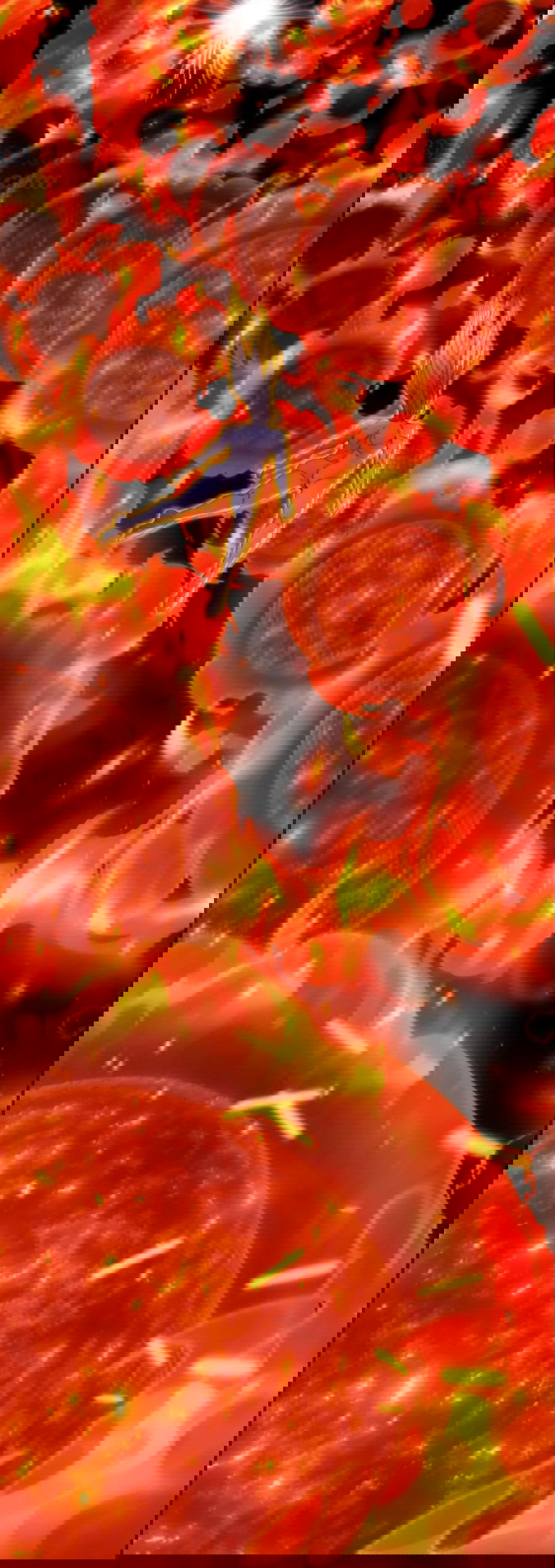 Манга Я правда не слуга злого бога - Глава 154 Страница 7