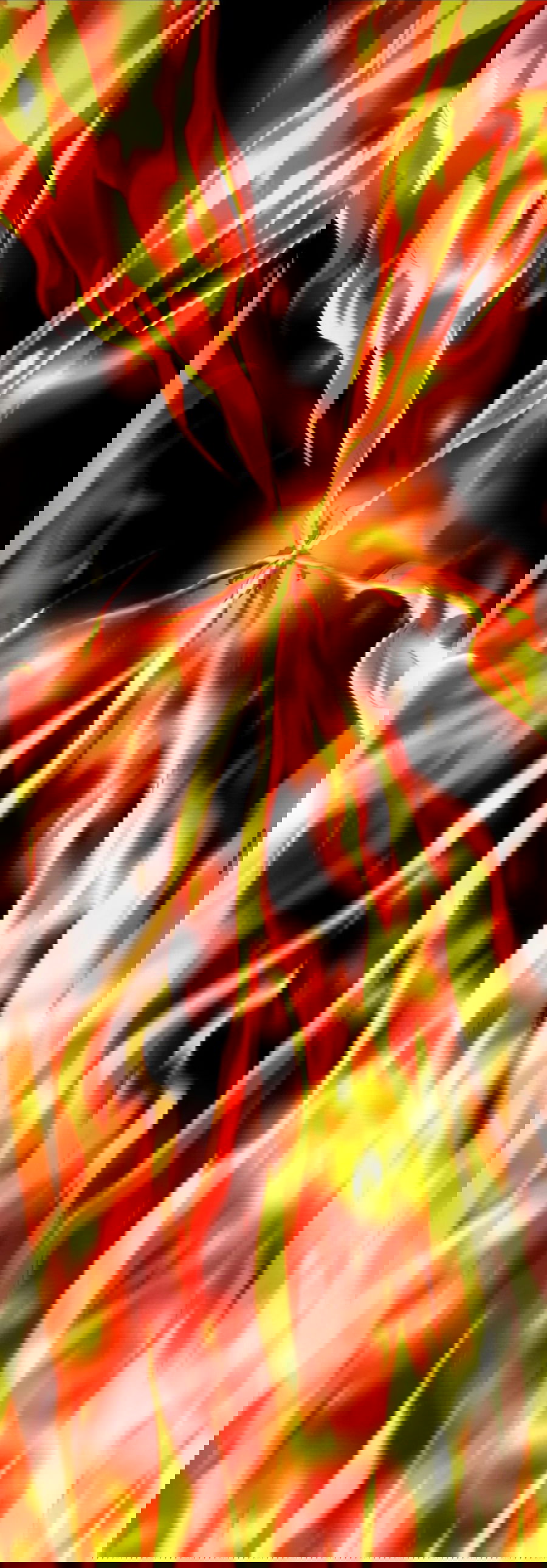 Манга Я правда не слуга злого бога - Глава 154 Страница 52