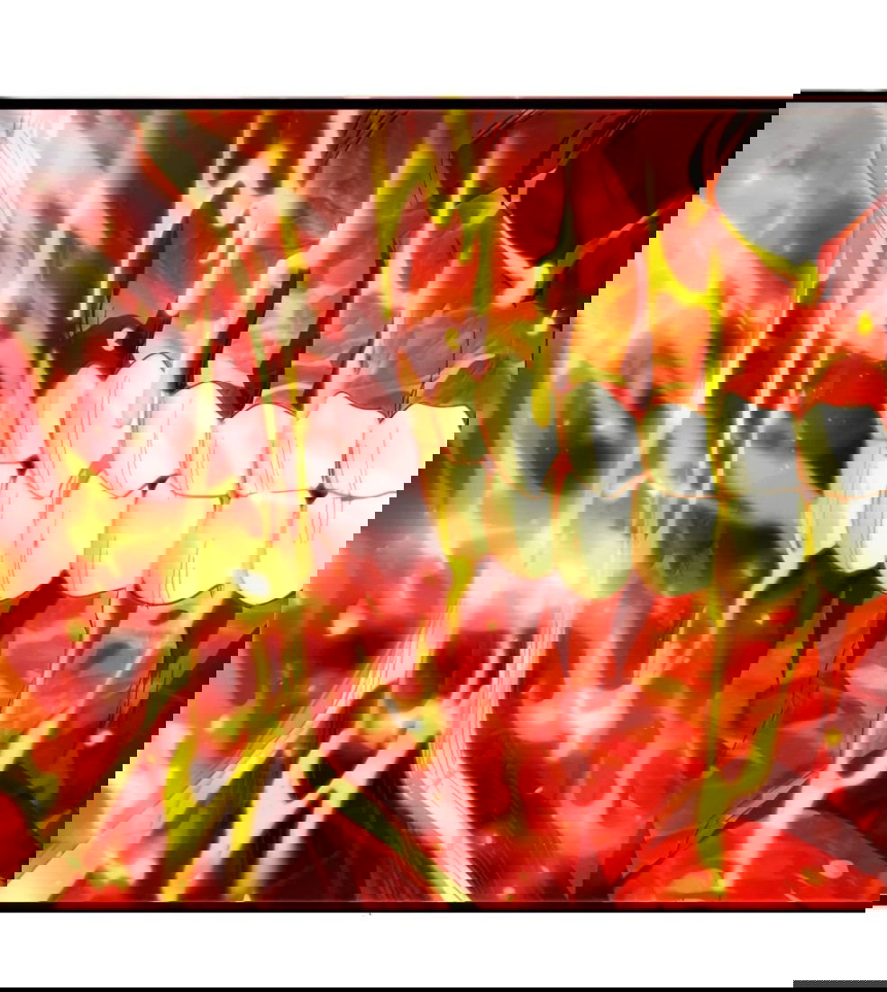 Манга Я правда не слуга злого бога - Глава 146 Страница 12