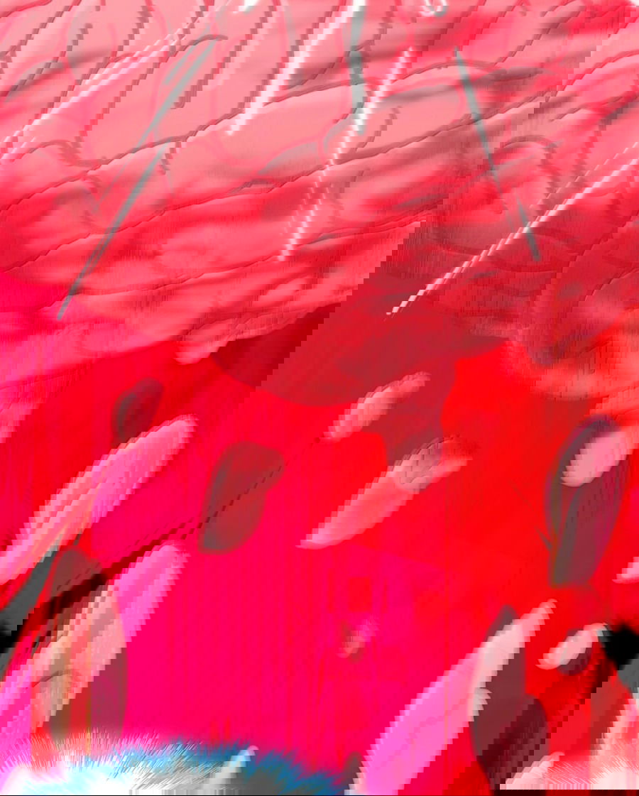 Манга Я правда не слуга злого бога - Глава 124 Страница 27