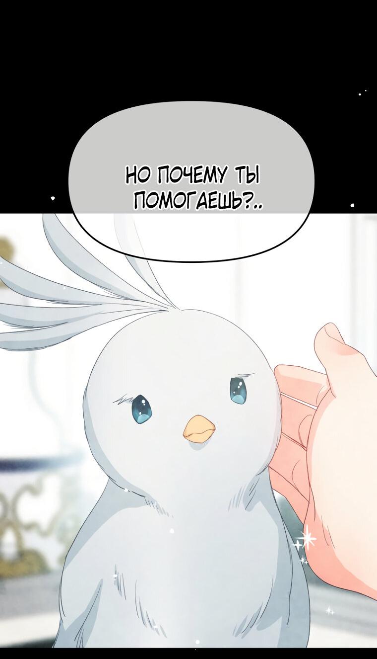 Манга Не отдавай сердце этой книге (манхва) - Глава 105 Страница 36