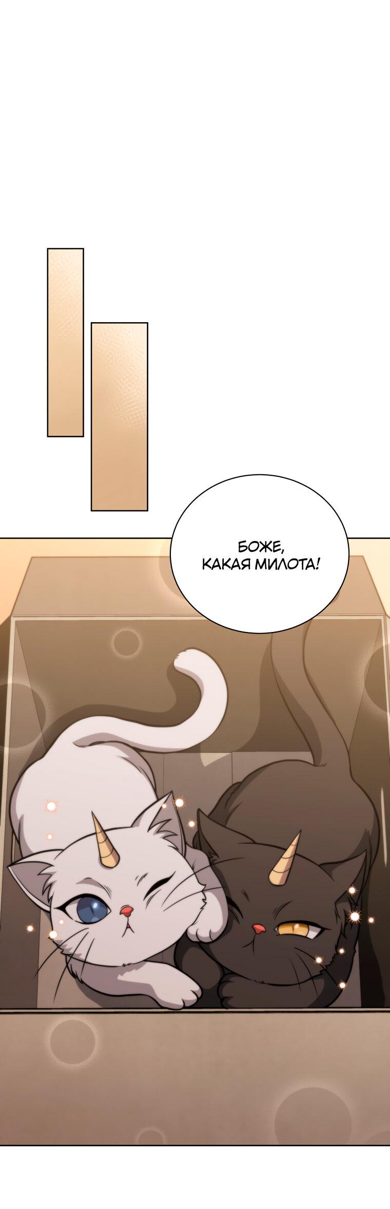 Манга Меня уволили из партии героев, потому что им не нужны мои навыки обучения, поэтому я укрепил свой [феод], который получил взамен своих пенсионных денег - Глава 201 Страница 11