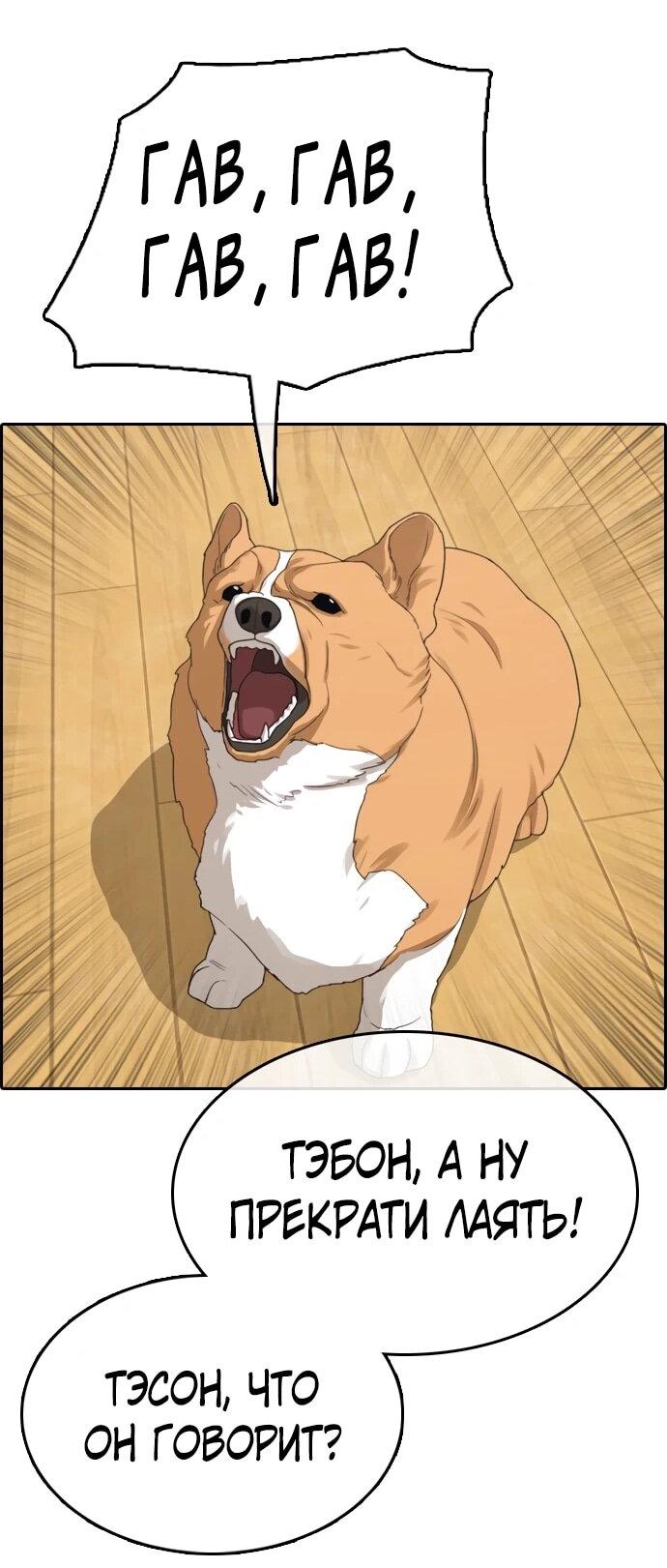 Манга Свободный выбор - Глава 365 Страница 31