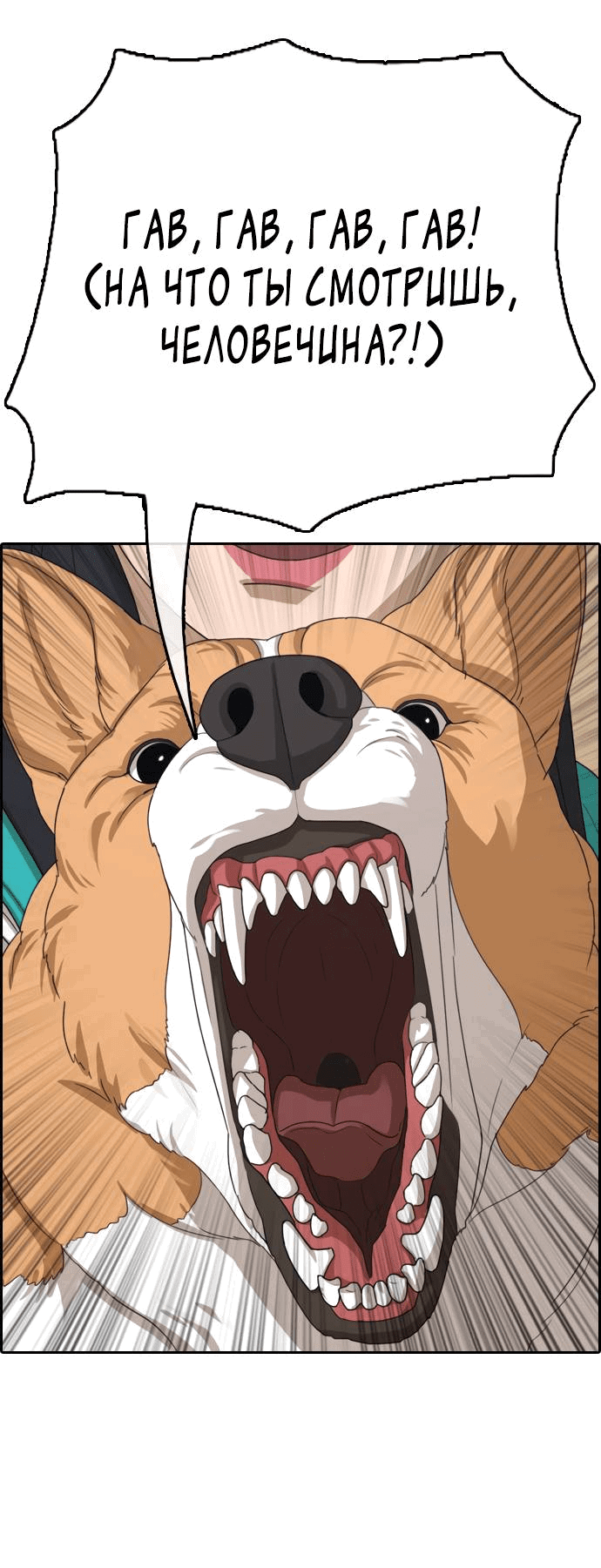 Манга Свободный выбор - Глава 364 Страница 12