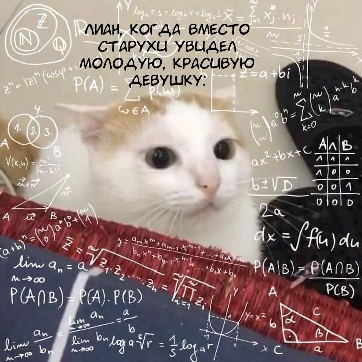 Манга Перерождение милого тигра: Великий Генерал хочет обнимашек - Глава 127 Страница 24