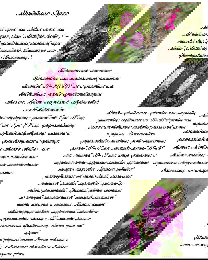 Манга Поцелуй / Объятия - Глава 13 Страница 2