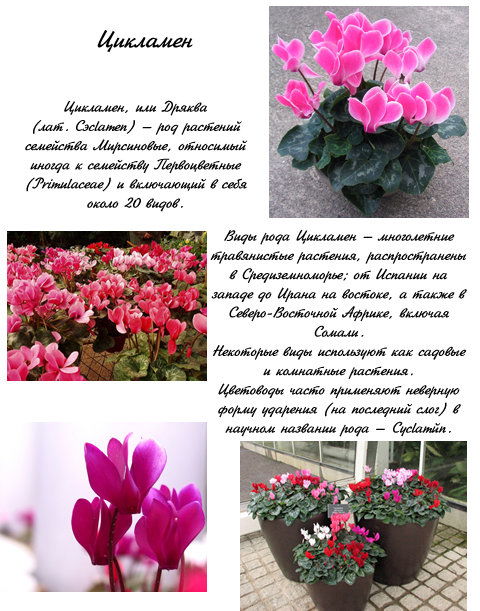 Манга Поцелуй / Объятия - Глава 8 Страница 4