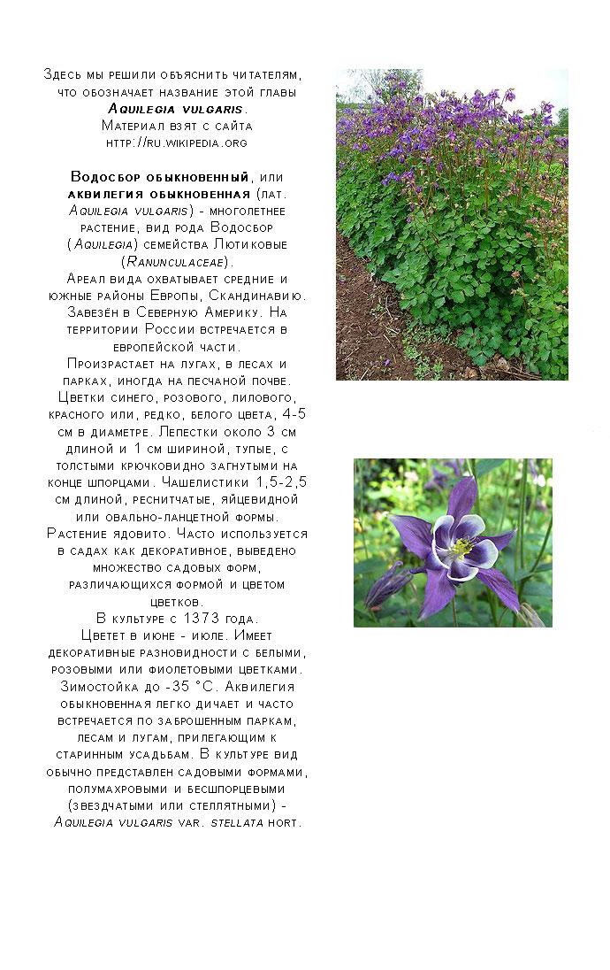 Манга Поцелуй / Объятия - Глава 2 Страница 46