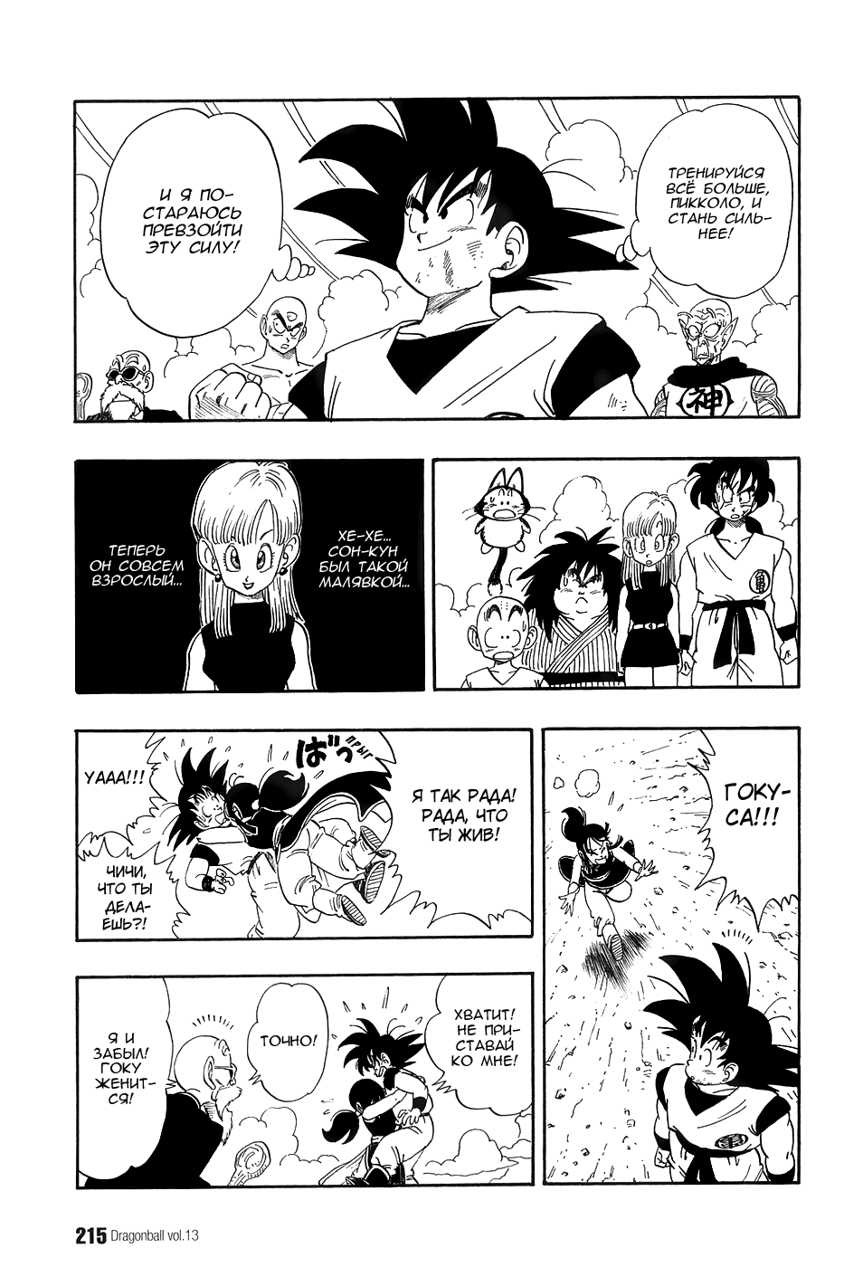 Манга Драгон Болл (Канзенбан) - Глава 194 Страница 13
