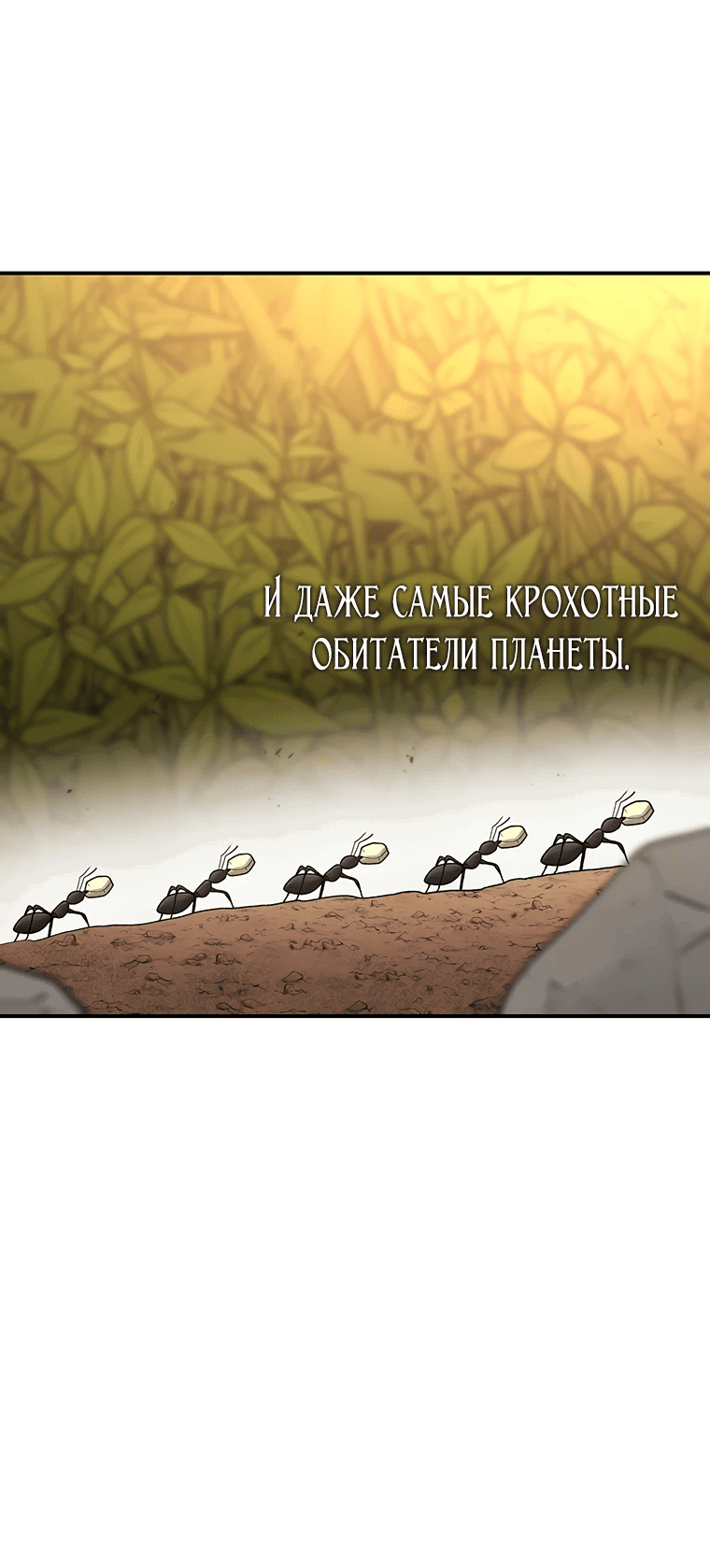 Манга Осколок времени - Глава 167 Страница 13