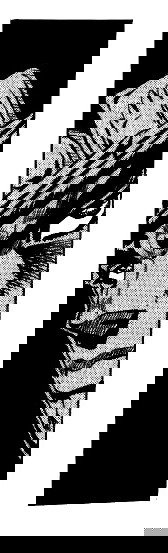 Манга Невероятные Приключения ДжоДжо Часть 3: Крестоносцы звёздной пыли - Глава 99 Страница 20