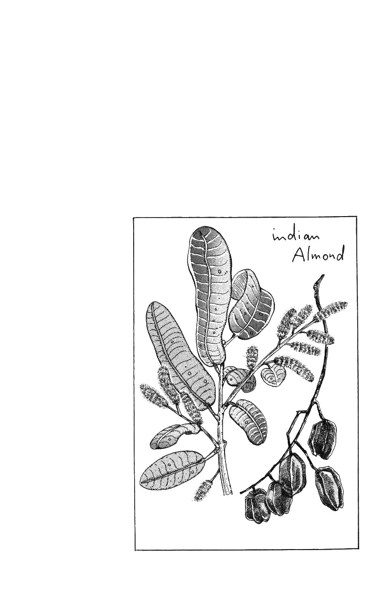 Манга Невероятные Приключения ДжоДжо Часть 3: Крестоносцы звёздной пыли - Глава 43 Страница 21