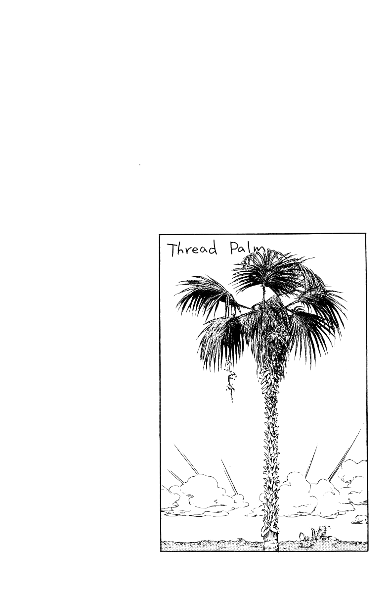 Манга Невероятные Приключения ДжоДжо Часть 3: Крестоносцы звёздной пыли - Глава 30 Страница 21