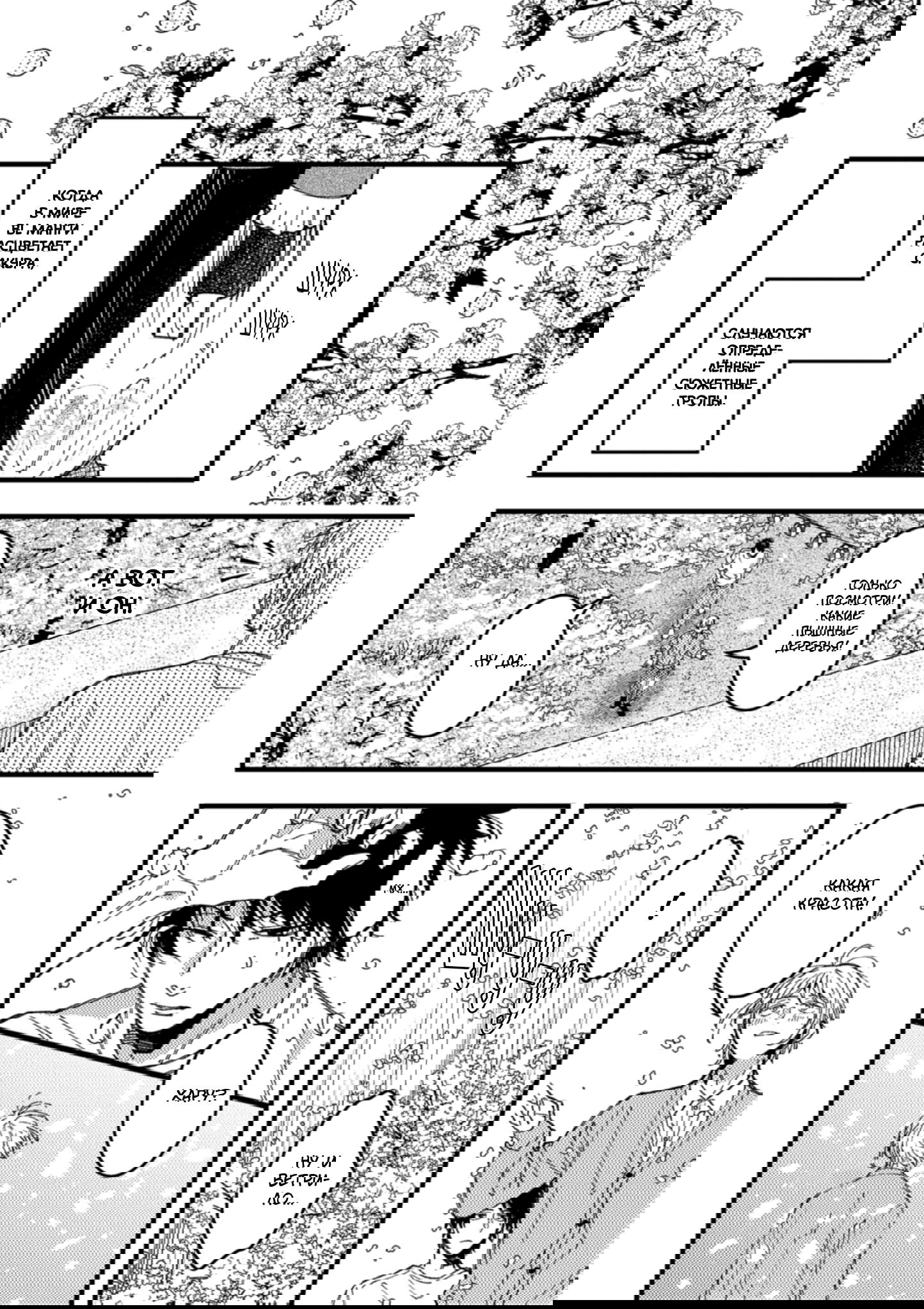 Манга Мир из BL против натурала - Глава 84 Страница 5