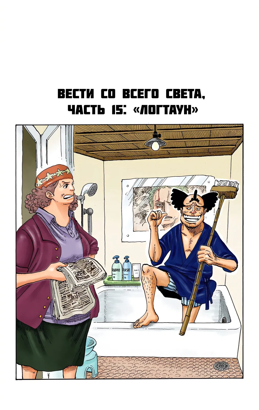 Манга Ван Пис (цветная версия) - Глава 668.5 Страница 15