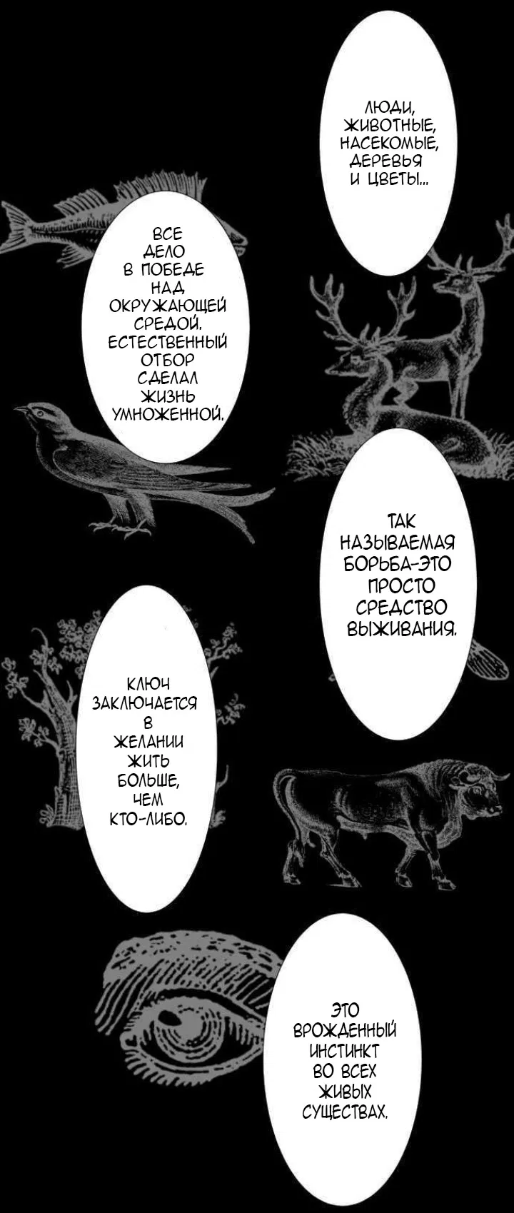 Манга Намбака - Глава 258 Страница 8