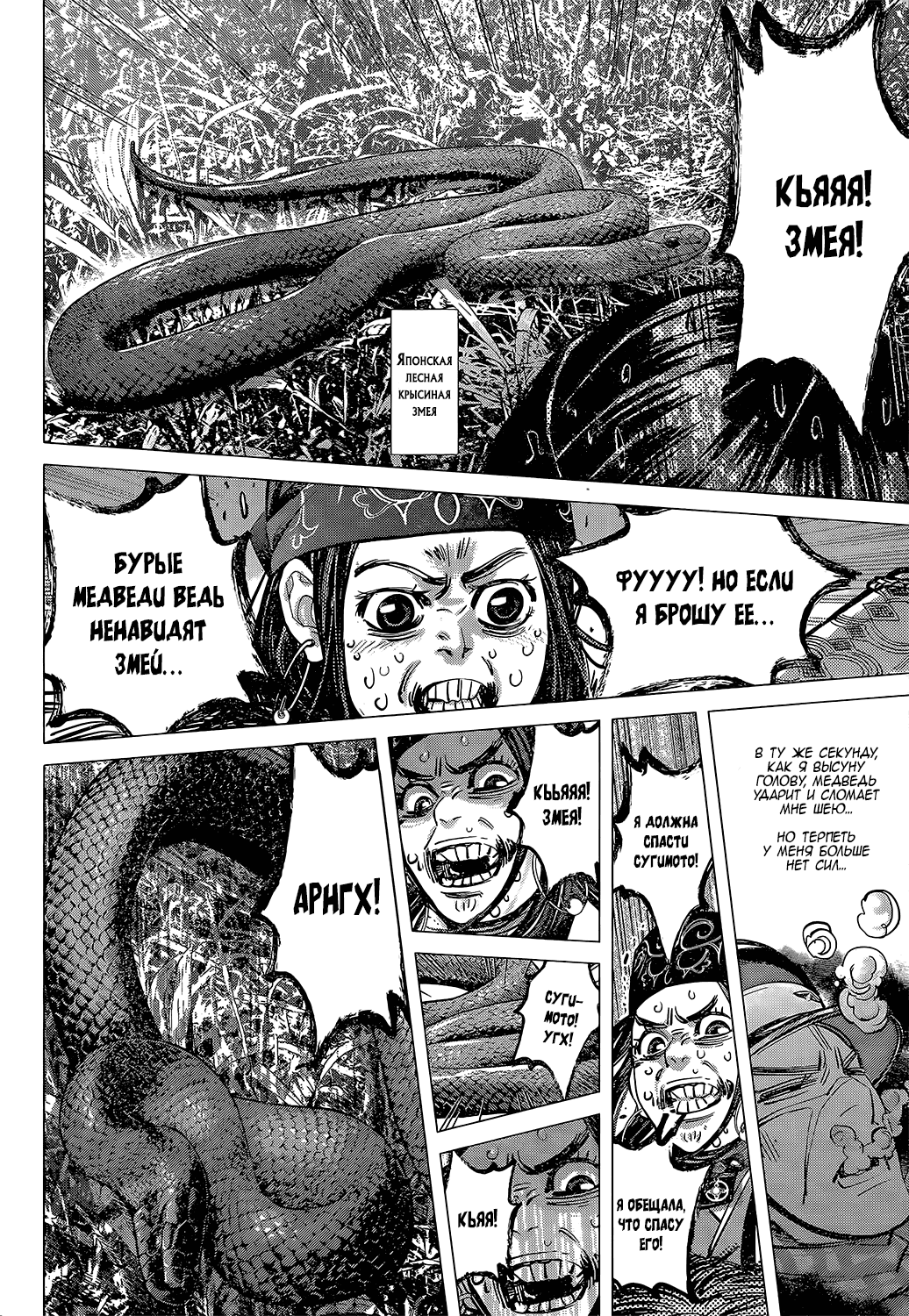 Манга Золотое божество - Глава 112 Страница 14