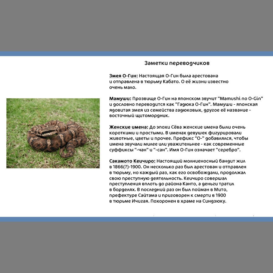 Манга Золотое божество - Глава 102 Страница 18