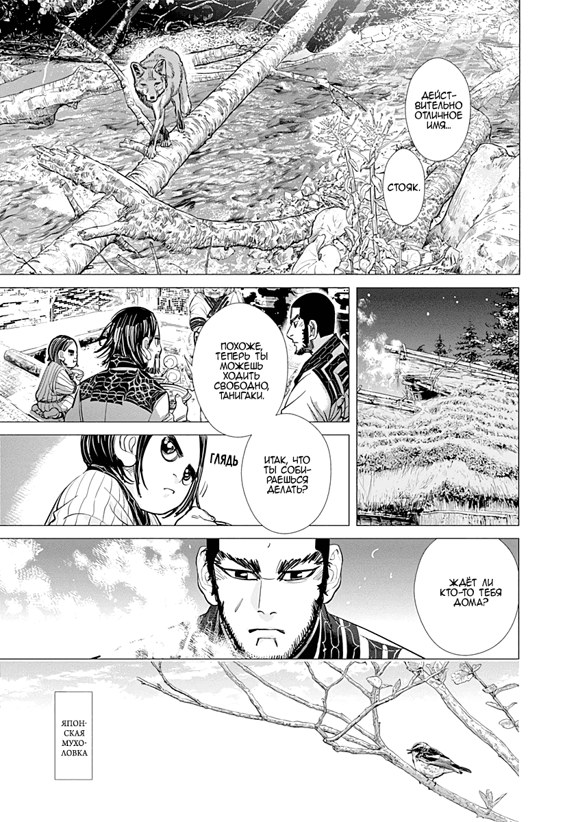 Манга Золотое божество - Глава 74 Страница 13