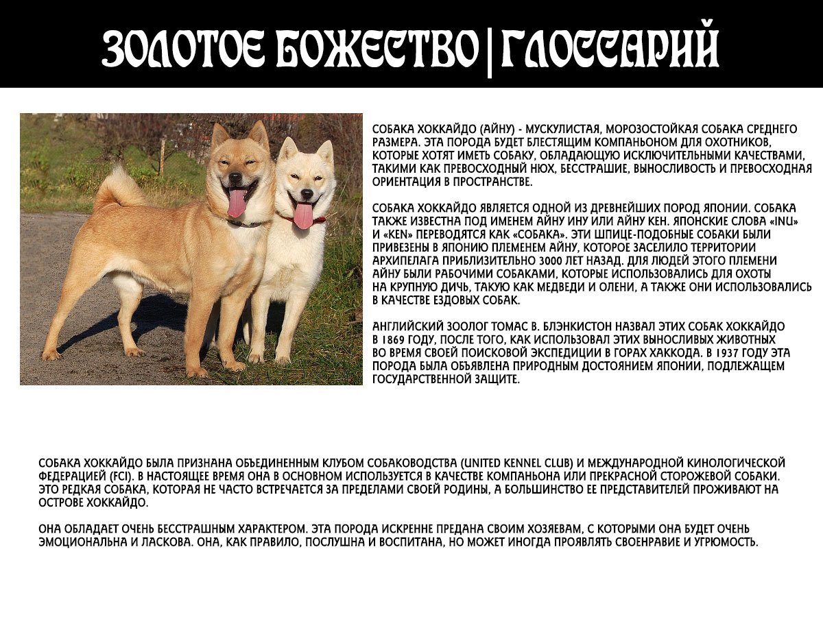 Манга Золотое божество - Глава 29 Страница 20