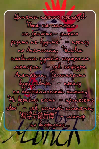 Манга Пастель - Глава 56 Страница 45