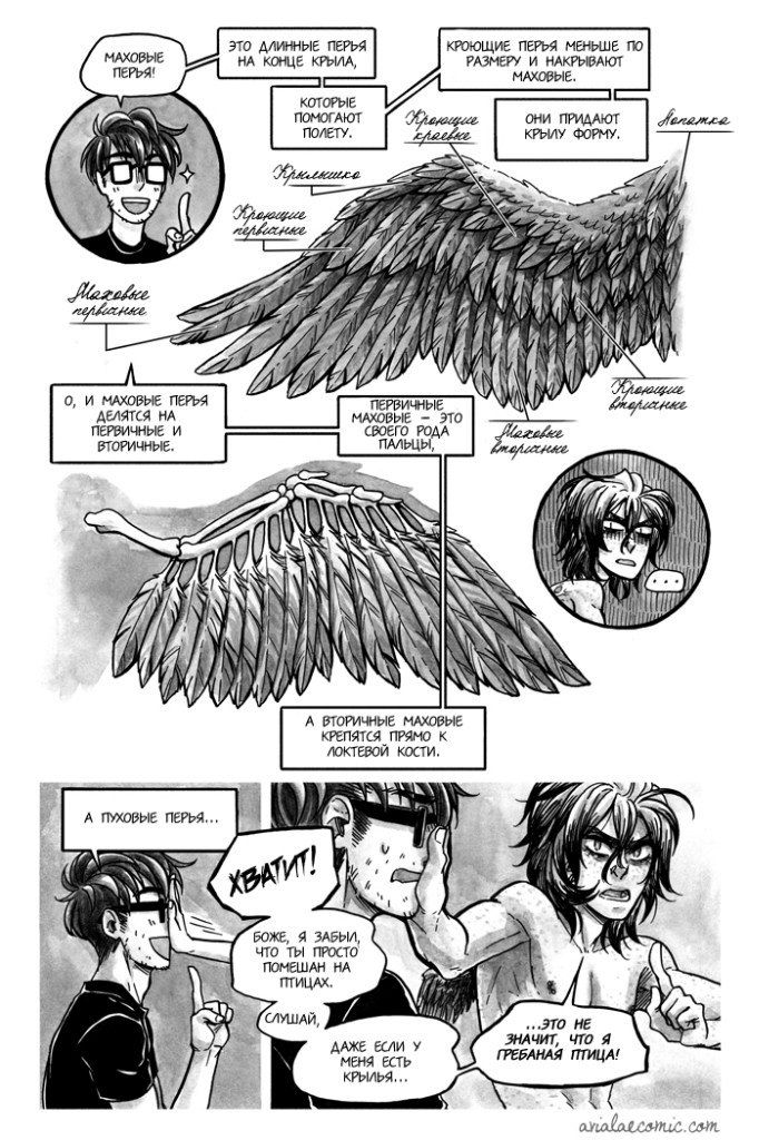 Манга Avialae - Глава 1 Страница 29
