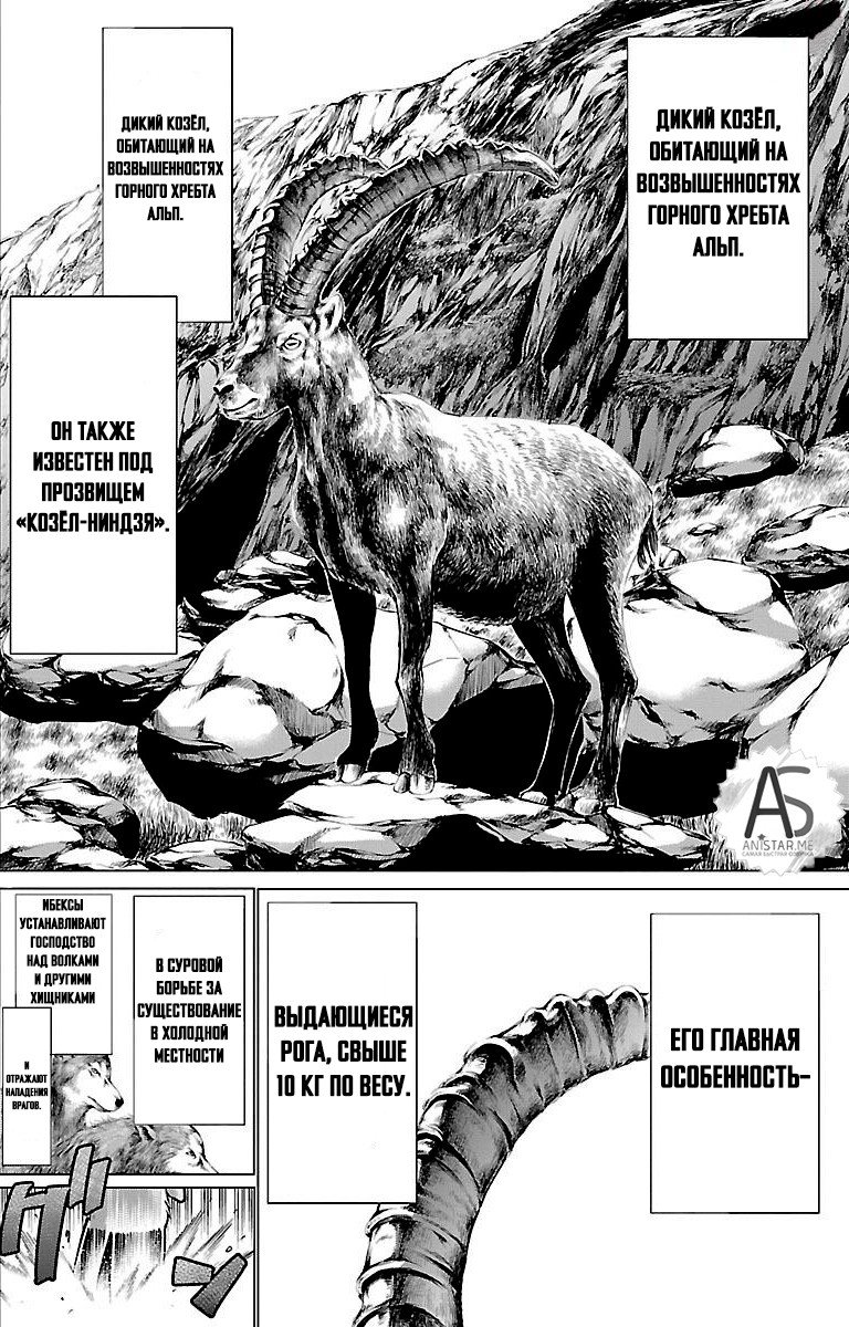 Манга Смертельный укус - Глава 42 Страница 24