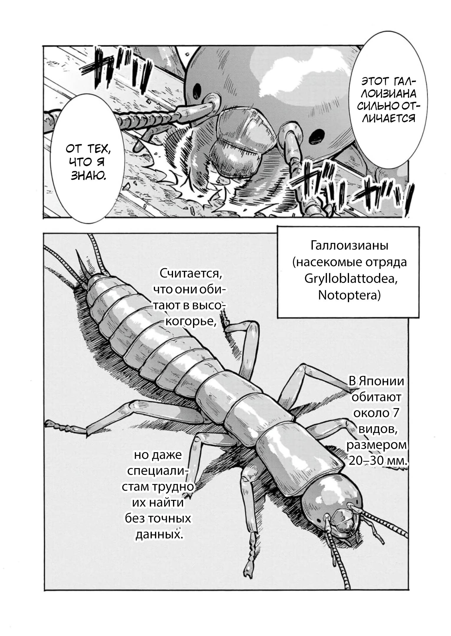 Манга Еще больший остров насекомых-гигантов - Глава 32 Страница 34